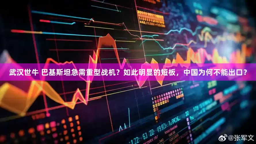 武汉世牛 巴基斯坦急需重型战机？如此明显的短板，中国为何不能出口？