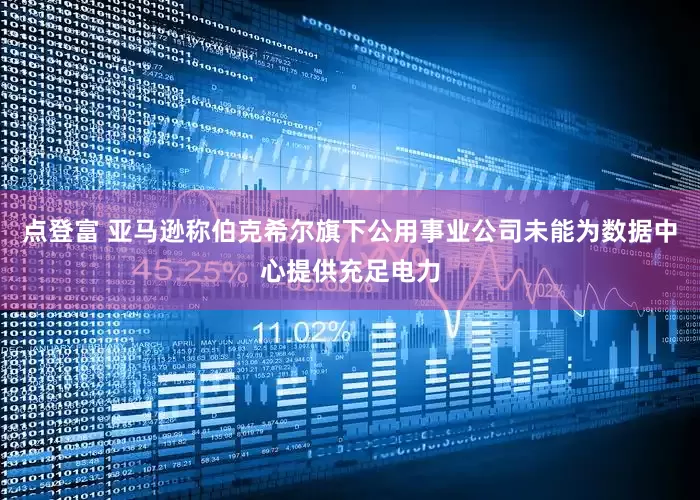 点登富 亚马逊称伯克希尔旗下公用事业公司未能为数据中心提供充足电力