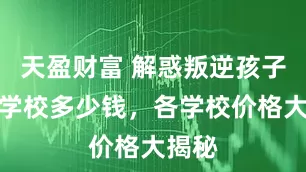 天盈财富 解惑叛逆孩子管理学校多少钱，各学校价格大揭秘